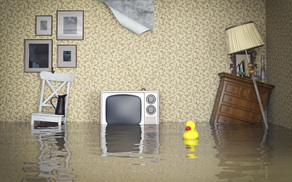 Flooded Guest Room,Cetis Blog